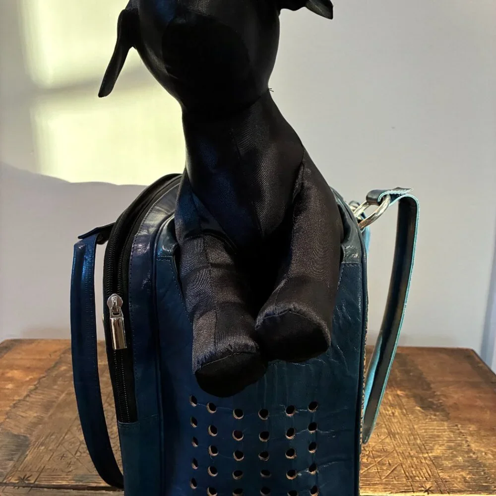 Hand-crafted leather pet carrier by Dharma Dog/Dharma Cat